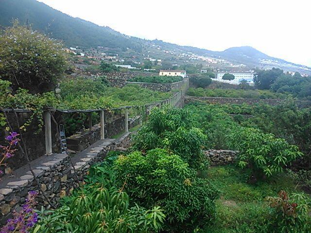 Casita Del Medianero Santa Cruz de la Palma (Isla de la Palma) Exterior foto