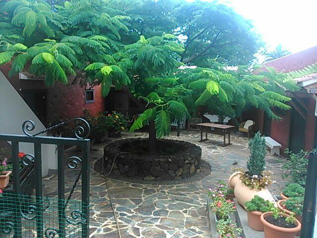 Casita Del Medianero Santa Cruz de la Palma (Isla de la Palma) Exterior foto